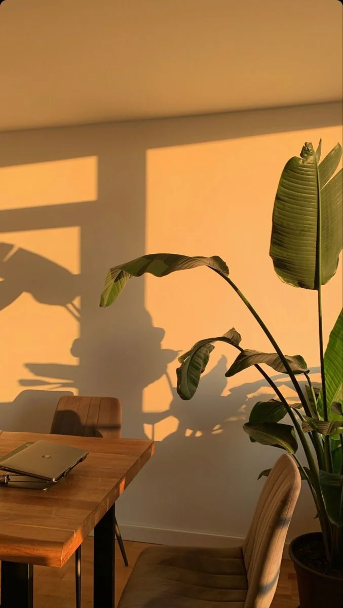 Algorithm Move Image 6